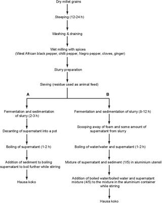 Microbial Diversity and Metabolite Profile of Fermenting Millet in the Production of Hausa koko, a Ghanaian Fermented Cereal Porridge